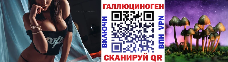 Псилоцибиновые грибы мицелий  Купить закладки  Фролово 